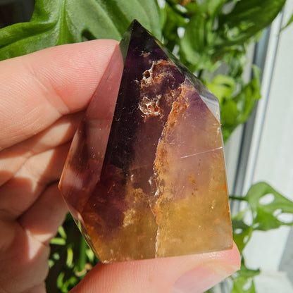 "Dreamcoat Lemurian" Quartz Freeform #34P