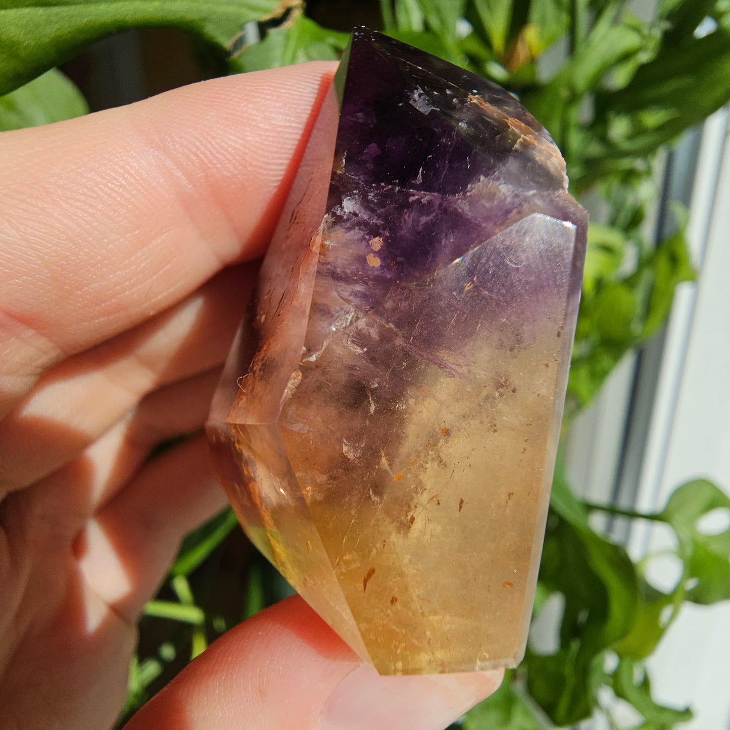 "Dreamcoat Lemurian" Quartz Freeform #34P