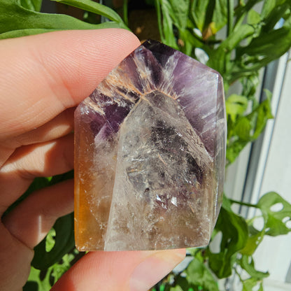 "Dreamcoat Lemurian" Quartz Freeform #34P