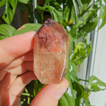 “Dreamcoat Lemurian” Quartz Tower #25Q