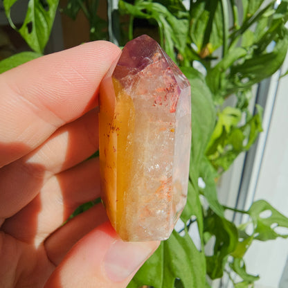 “Dreamcoat Lemurian” Quartz Tower #25Q