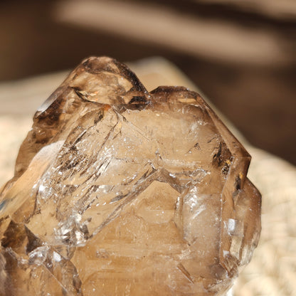 Elestial Smoky Quartz with Water Bubble on Stand (#35N)