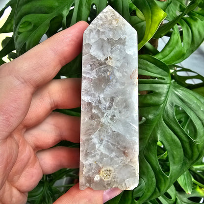 Flower Agate with Quartz obelisk  #23K