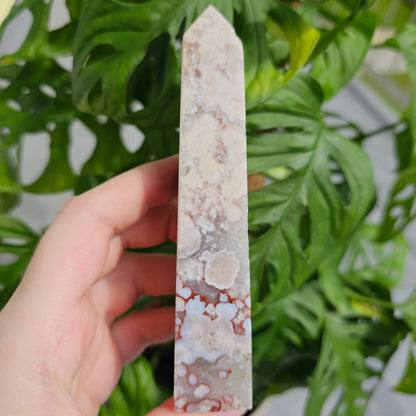 Flower Agate with Quartz obelisk  #33C