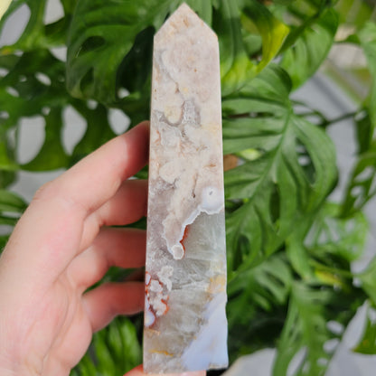 Flower Agate with Quartz obelisk  #33C