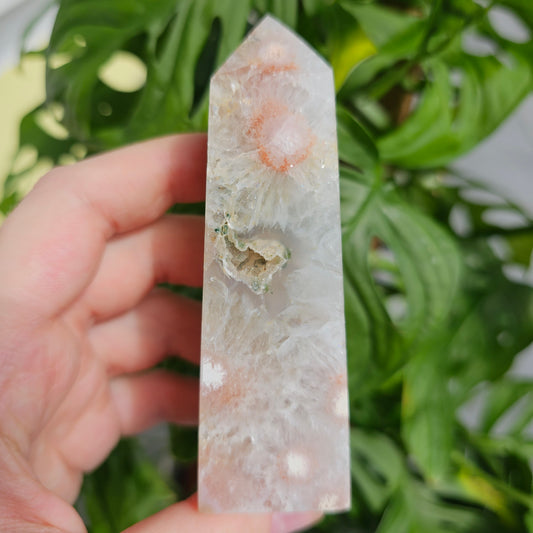 Flower Agate with Quartz obelisk  #33F