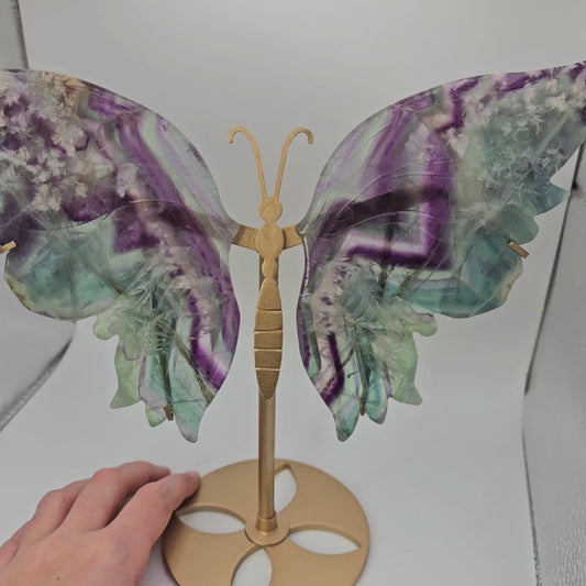 XL Fluorite Butterfly Wings