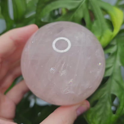 Star Rose Quartz Sphere #69R