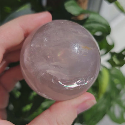 Star Rose Quartz sphere #75C