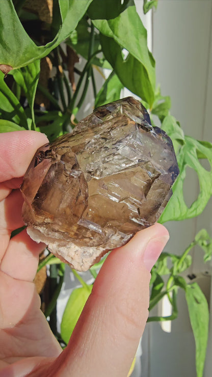 Elestial Smoky Quartz with Water Bubble on Stand (#35N)