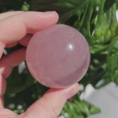 Star Rose Quartz sphere #49E