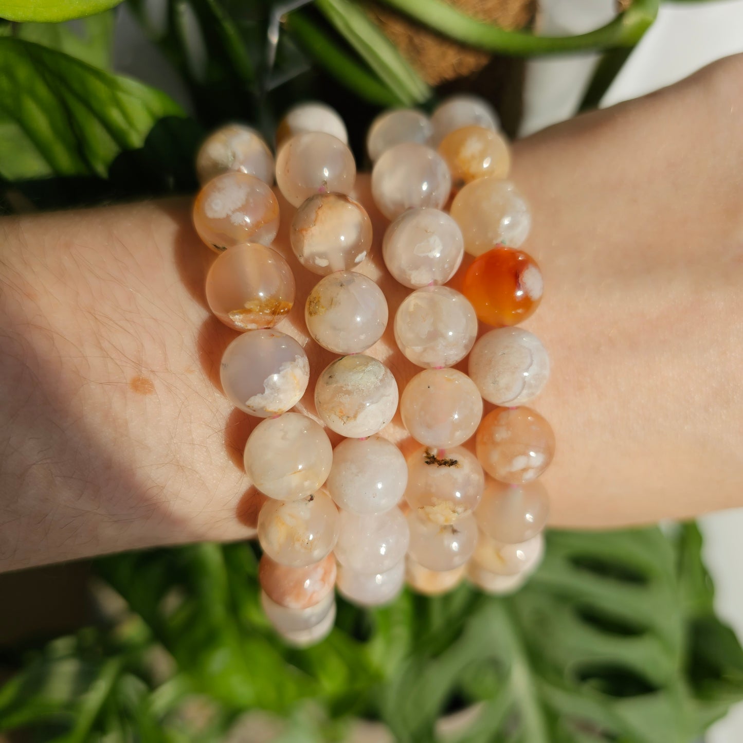 Flower Agate bracelet (11mm, 18cm)