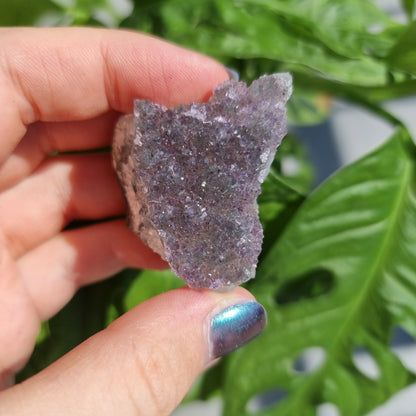 Rainbow Amethyst cluster (pick your own)