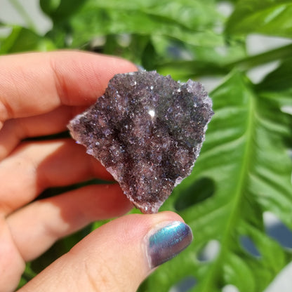 Rainbow Amethyst cluster (pick your own)