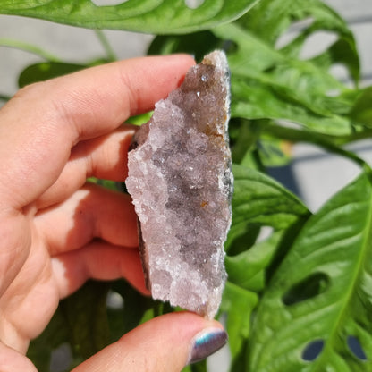 Rainbow Amethyst cluster (pick your own)