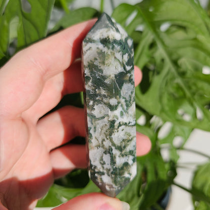 Moss Agate Dt #17B