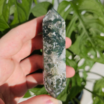 Moss Agate Dt #17B