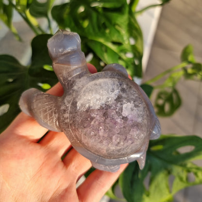 Druzy Agate turtle #2