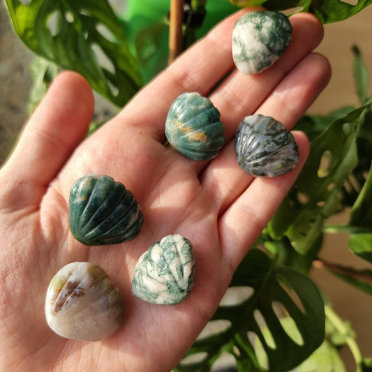 Moss Agate shell (intuitive pick)