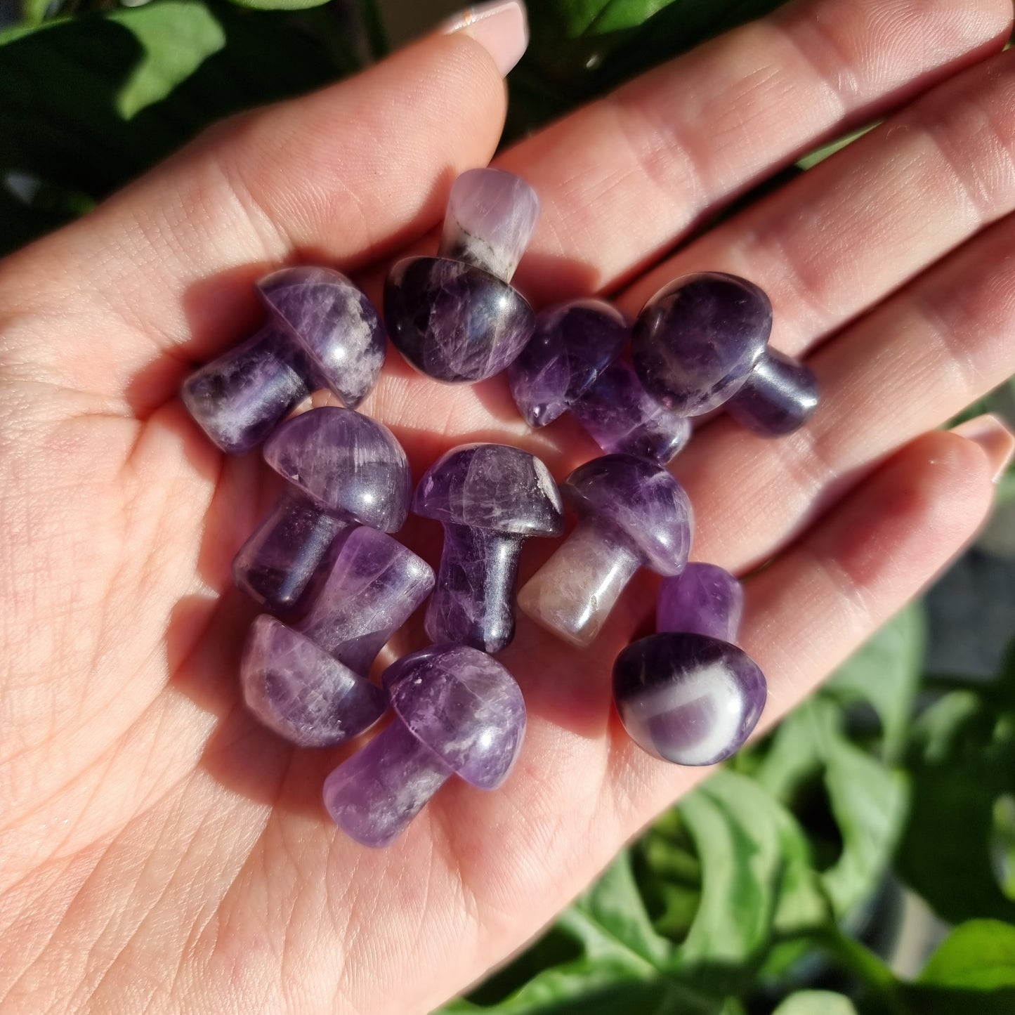 Amethyst Mini Pilz