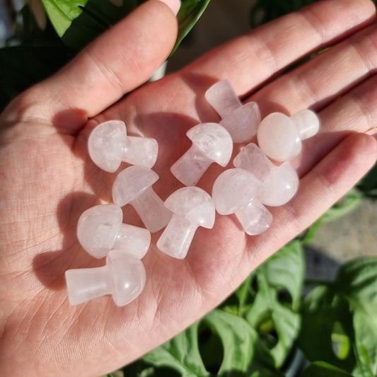 Rose Quartz Mini Mushroom (intuitive pick)