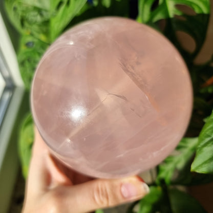 XXL Star Rose Quartz sphere