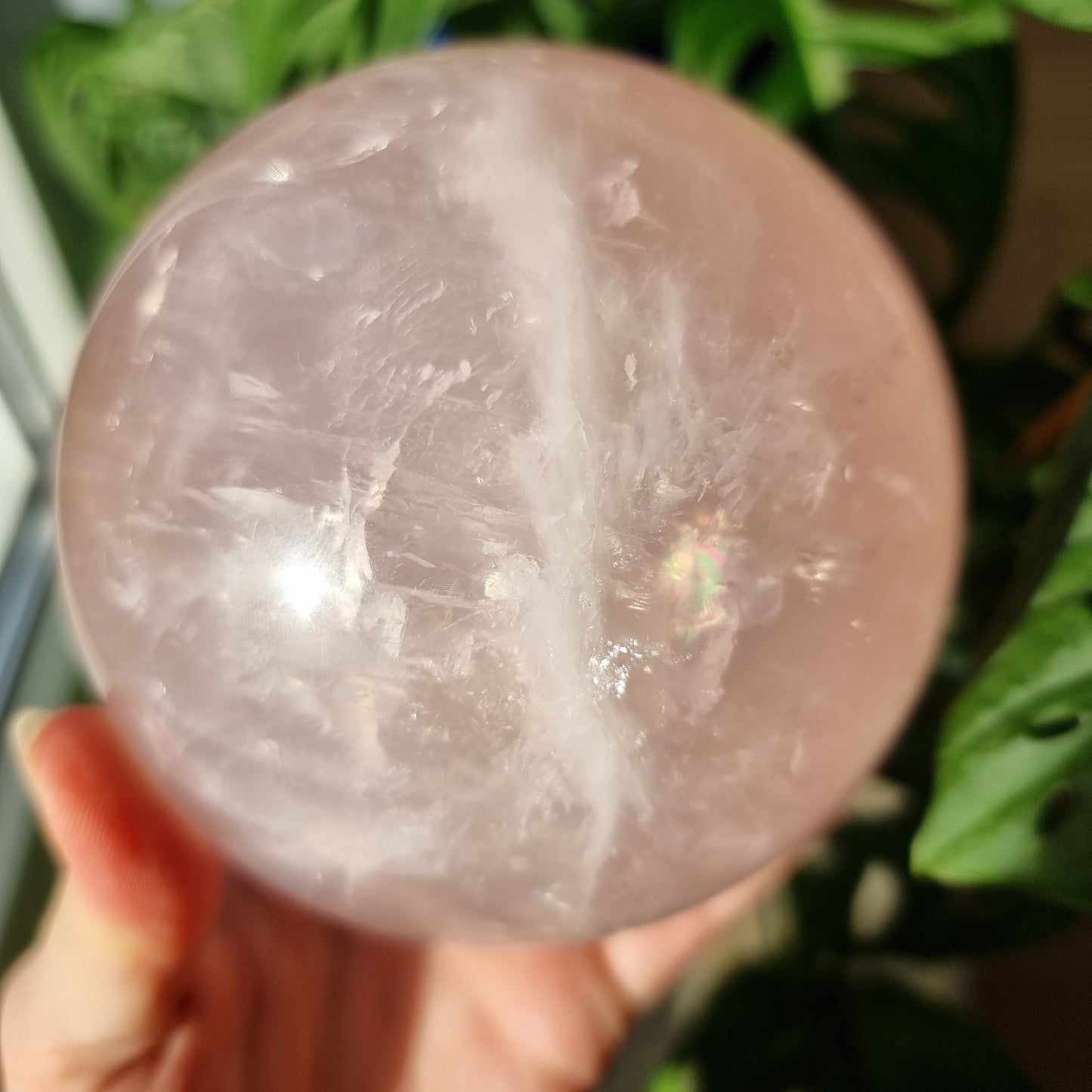 XXL Star Rose Quartz sphere