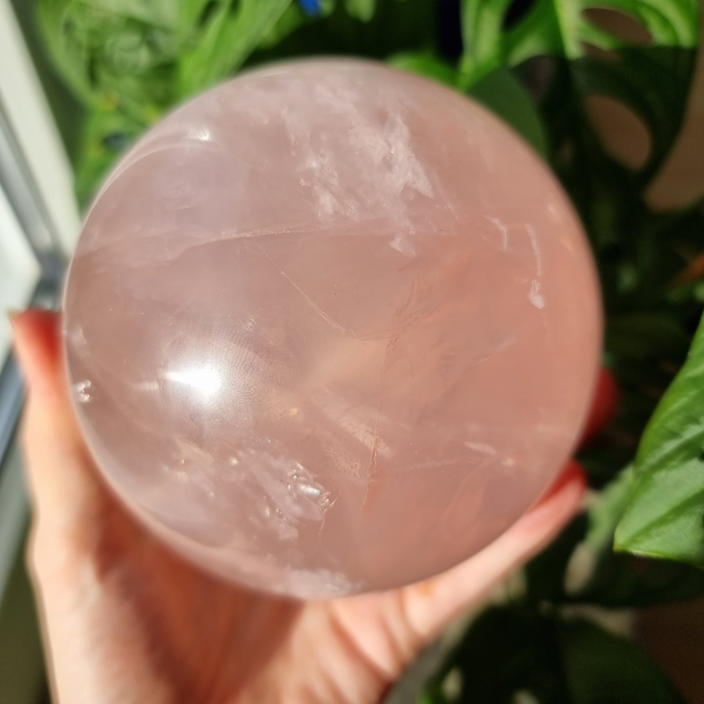 XXL Star Rose Quartz sphere