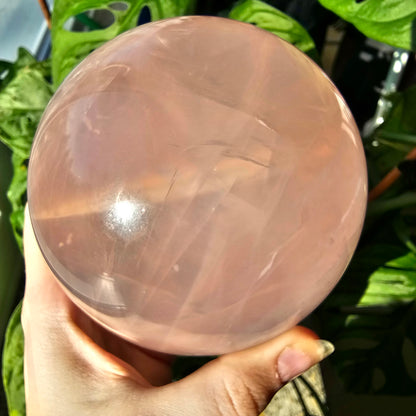 XXL Star Rose Quartz sphere