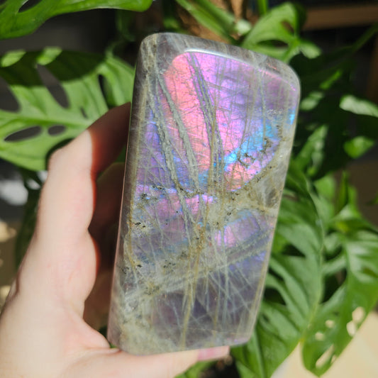 Purple Labradorite freeform #65B