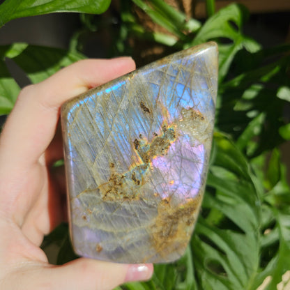 Purple Labradorite freeform #50F