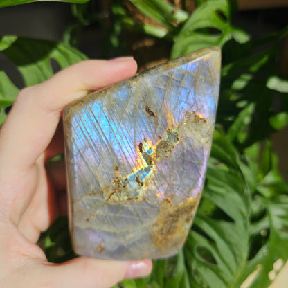 Purple Labradorite freeform #50F