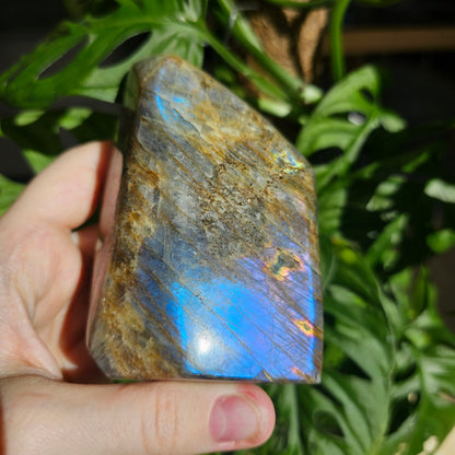 Purple Labradorite freeform #50F