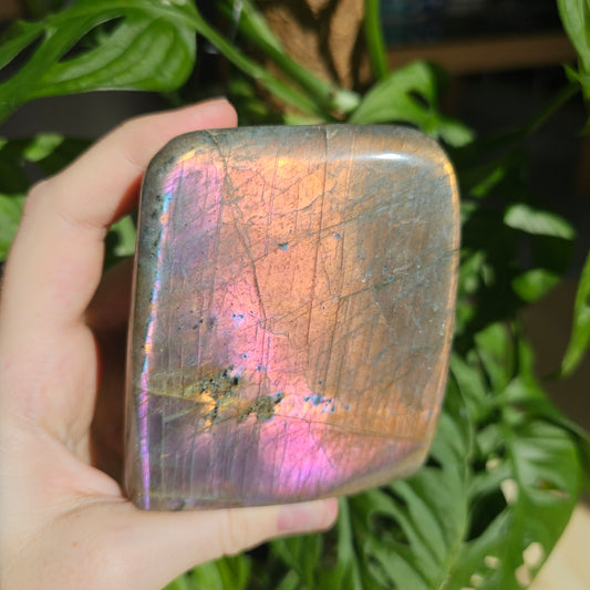 Purple Labradorite freeform #59G