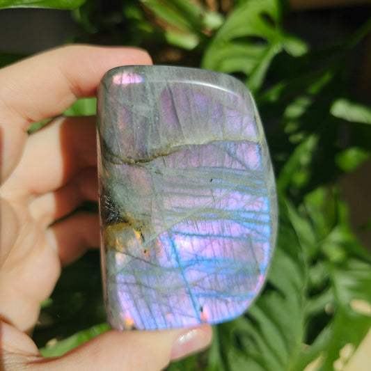 Purple Labradorite freeform #27I