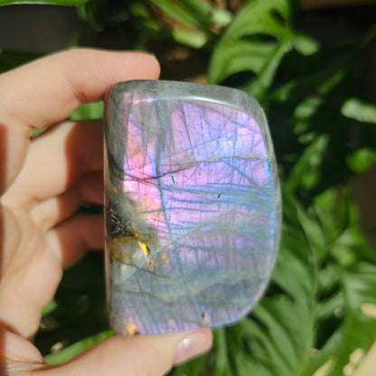 Purple Labradorite freeform #27I