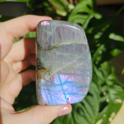 Purple Labradorite freeform #27I