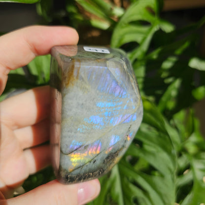 Purple Labradorite freeform #27I