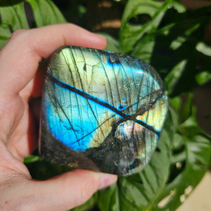 Blue Labradorite freeform #28C