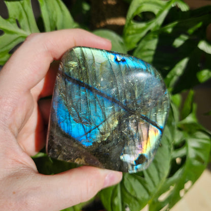 Blue Labradorite freeform #28C