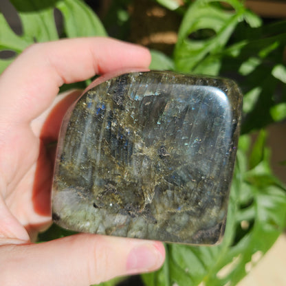 Blue Labradorite freeform #28C