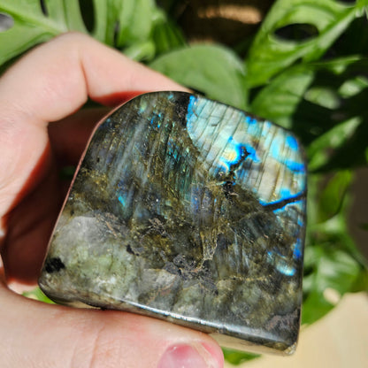 Blue Labradorite freeform #28C