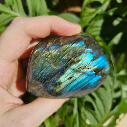 Blue Labradorite freeform #19i