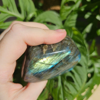 Blue Labradorite freeform #19i