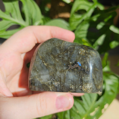 Blue Labradorite freeform #19i