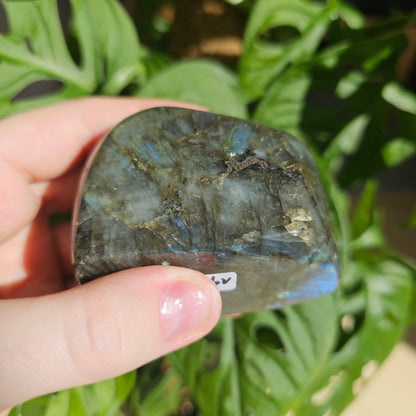 Blue Labradorite freeform #19i