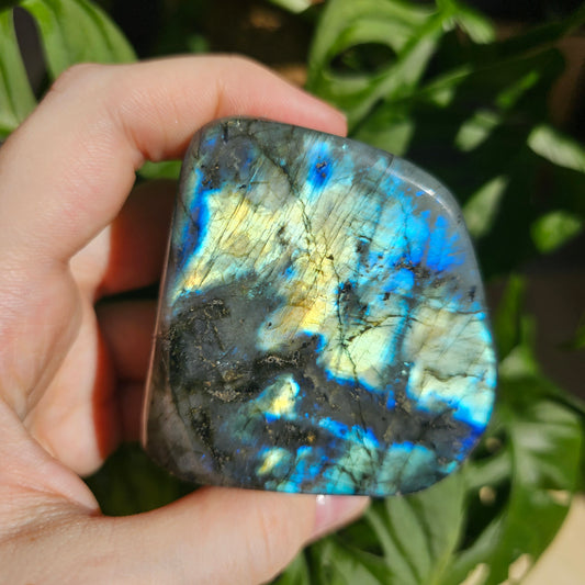 Blue Labradorite freeform #20K