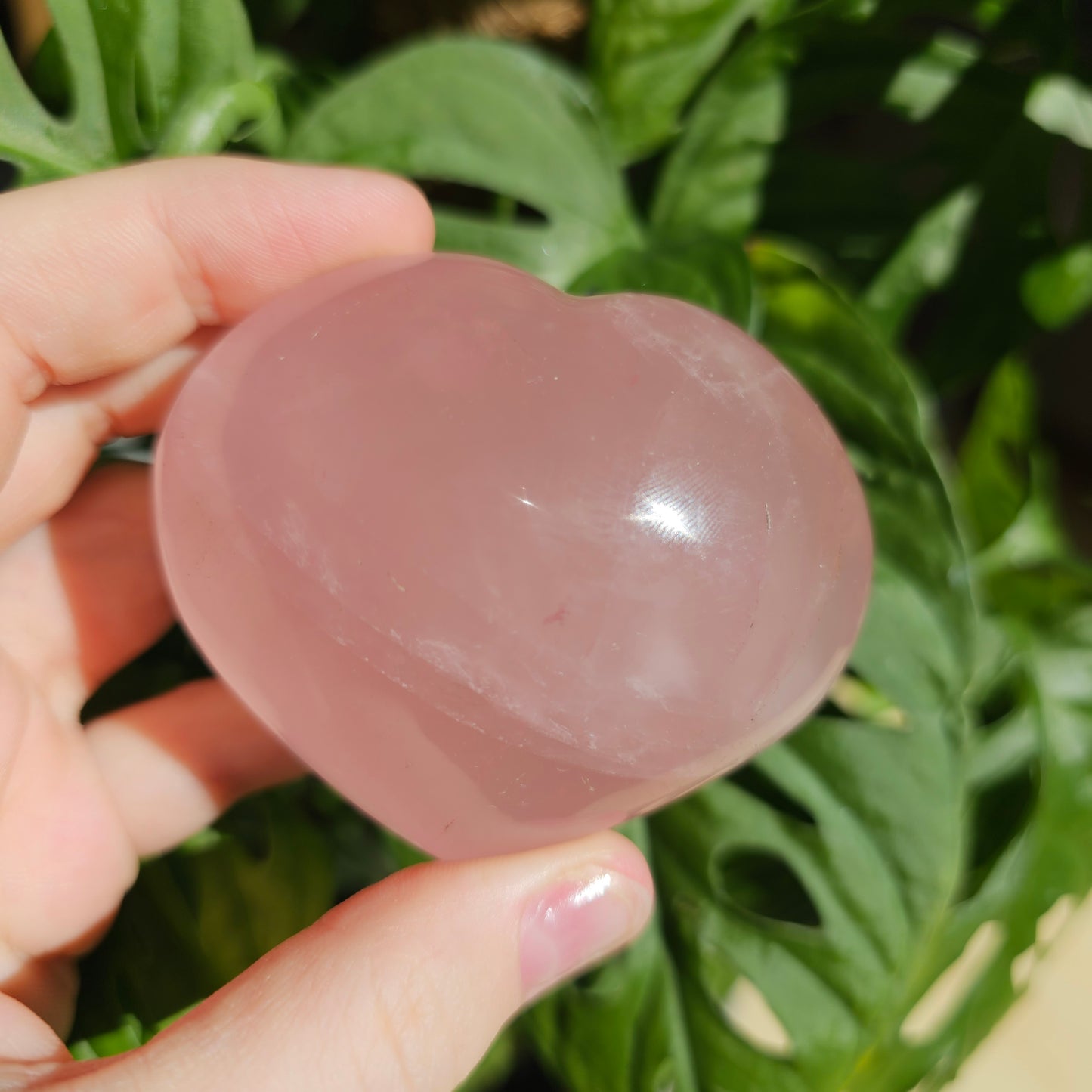 Star Rose Quartz heart #24A