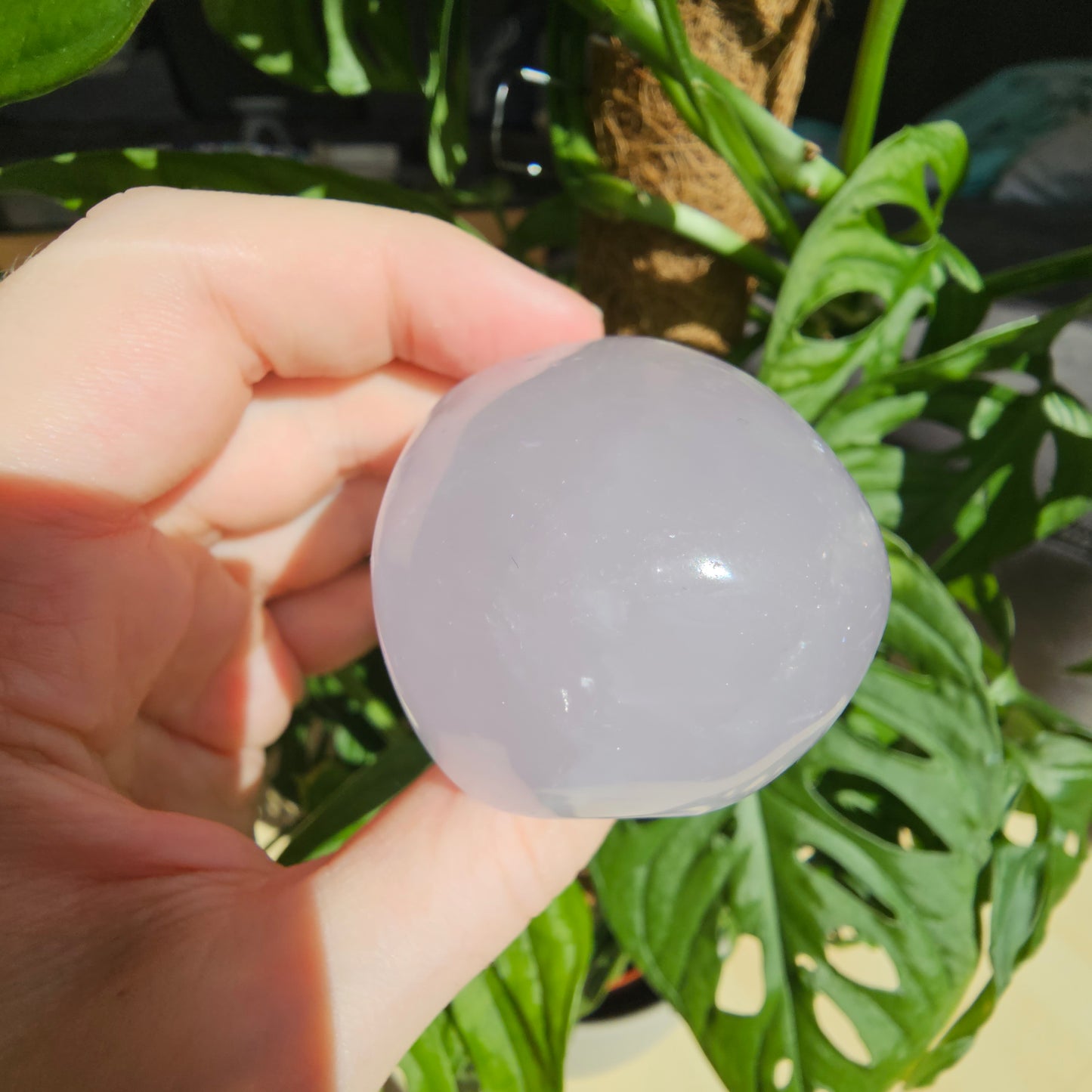 Periwinkle Quartz skull #69A