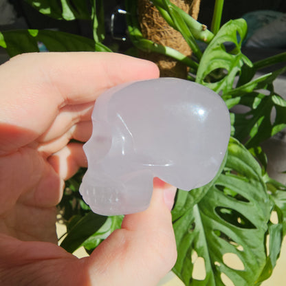 Periwinkle Quartz skull #69A